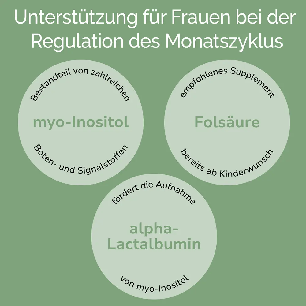 Vorschaubild 7